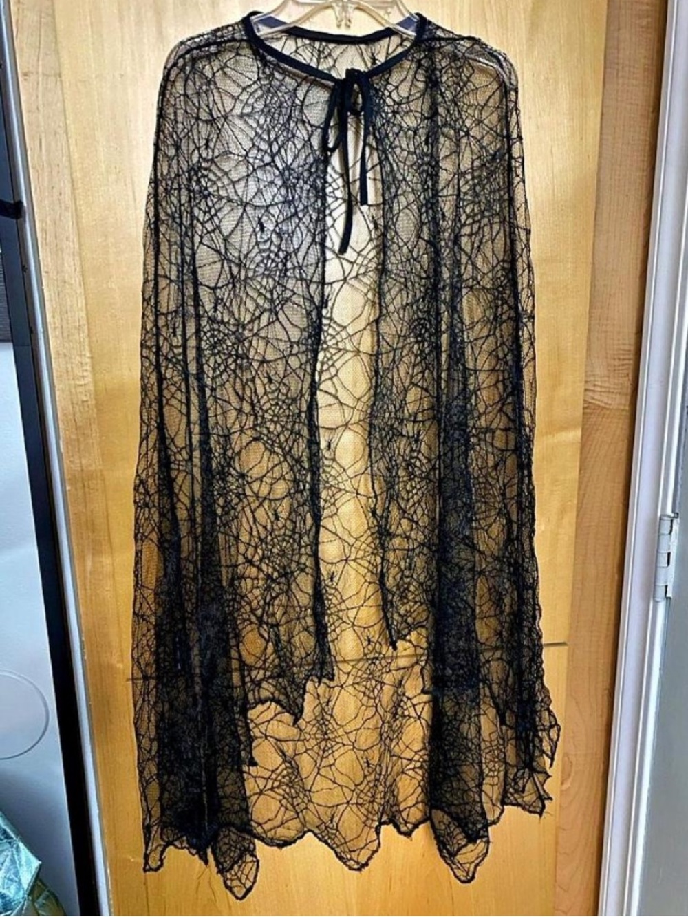 Black Spiderweb Sheer Lace Gothic Cape Witch Costume Whimsigoth OS